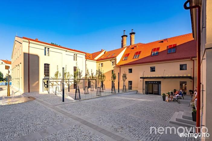 Pronájem bytu 2+kk, Praha - Nusle, Muzikova, 57 m2