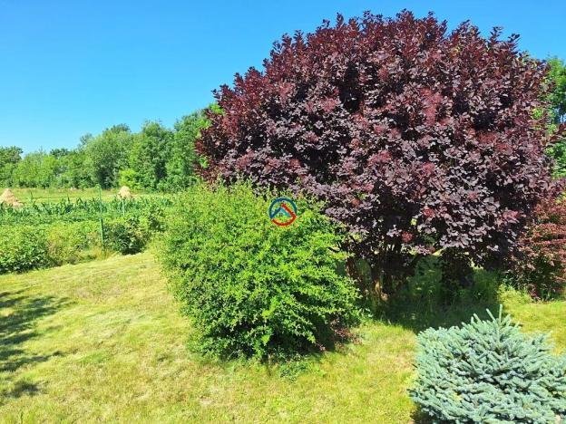 Prodej chalupy, Citov, 80 m2