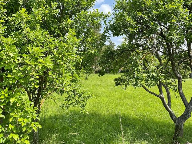 Prodej pozemku pro bydlení, Kovalovice, 2348 m2