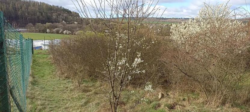 Prodej pozemku pro bydlení, Rosice, 1043 m2