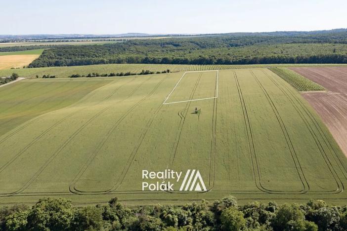 Prodej pole, Bulhary, 7380 m2