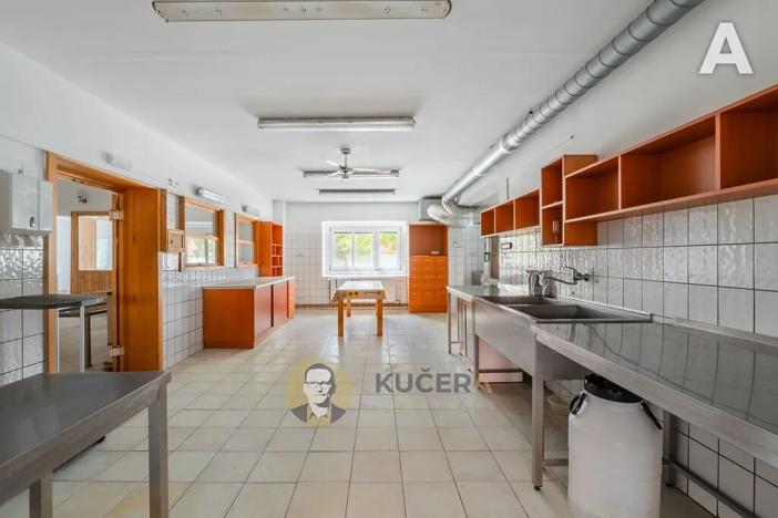 Prodej komerční nemovitosti, Velká Chmelištná, 550 m2