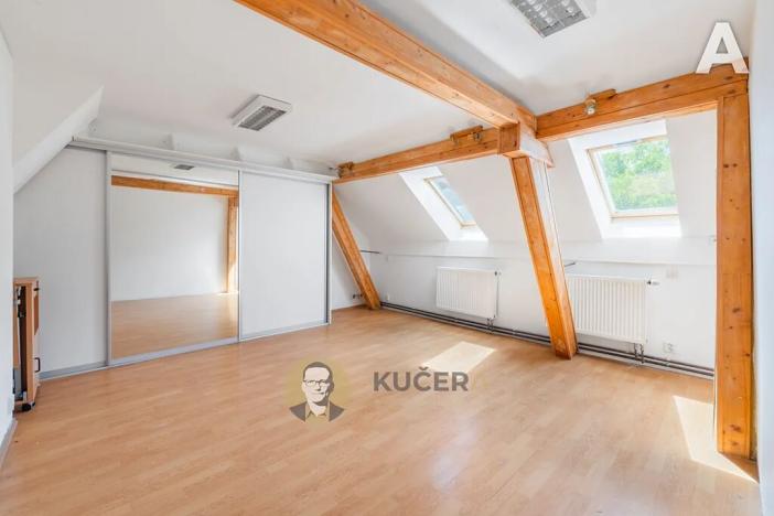 Prodej komerční nemovitosti, Velká Chmelištná, 550 m2