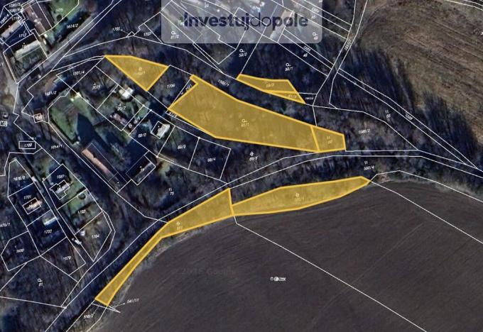 Prodej zahrady, Planá - Kříženec, 4113 m2