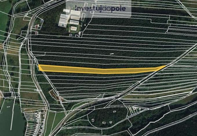 Prodej lesa, Lužná, 10470 m2
