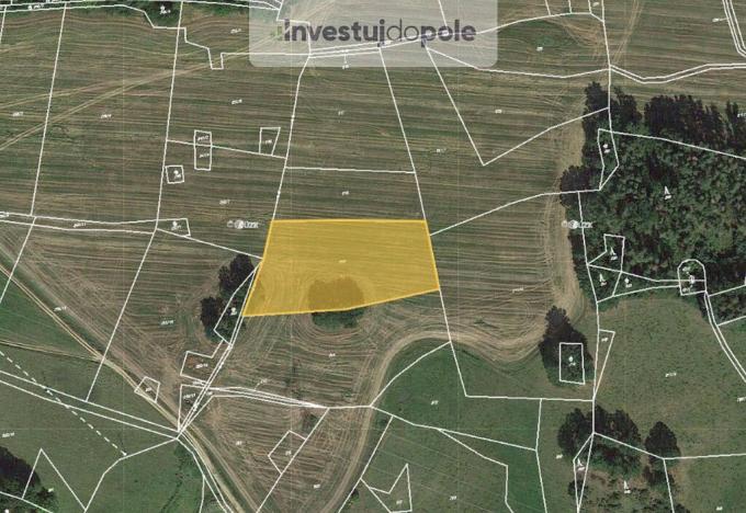 Prodej pole, Chanovice - Dobrotice, 5320 m2