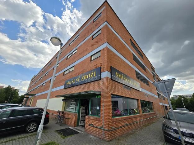 Pronájem obchodního prostoru, České Budějovice, Větrná, 623 m2