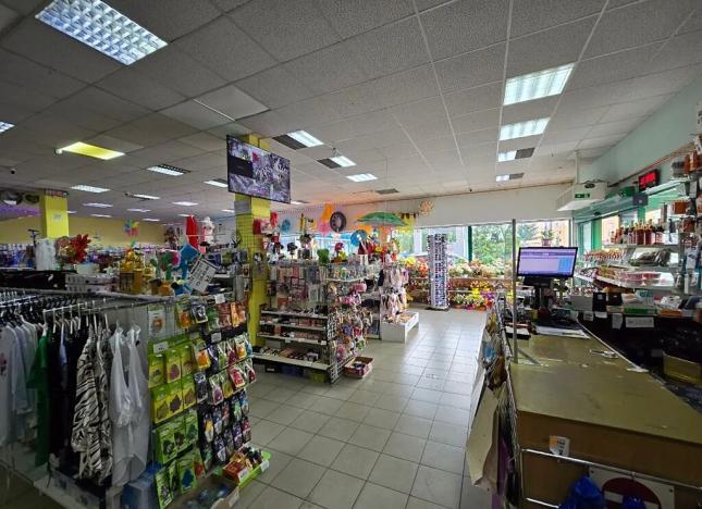 Pronájem obchodního prostoru, České Budějovice, Větrná, 623 m2