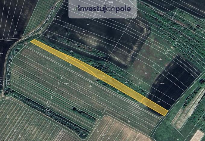 Prodej louky, Starovičky, 4020 m2