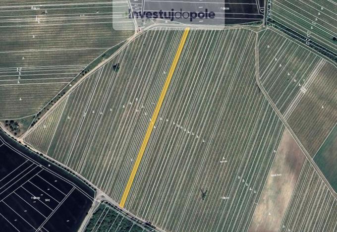 Prodej pozemku, Starovičky, 2561 m2