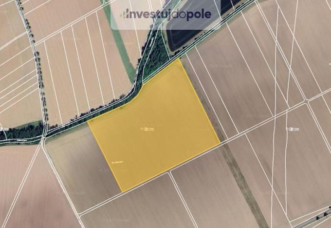 Prodej pole, Dolany, 7631 m2