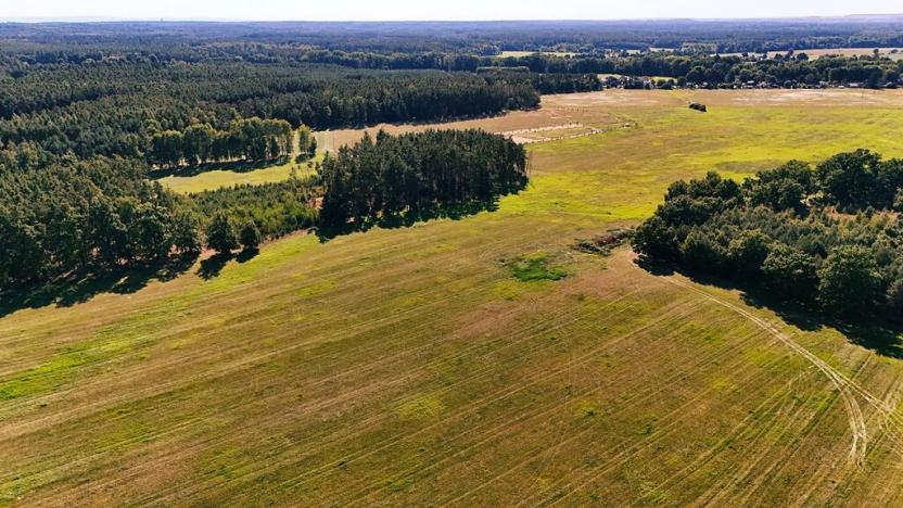 Prodej louky, Běleč nad Orlicí, 28117 m2