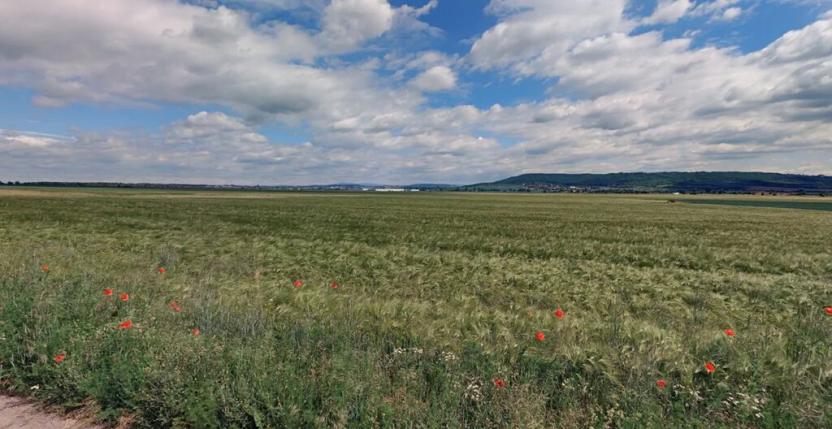 Prodej pole, Brodce, 17233 m2