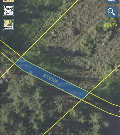 Prodej lesa, Kladruby, 222 m2
