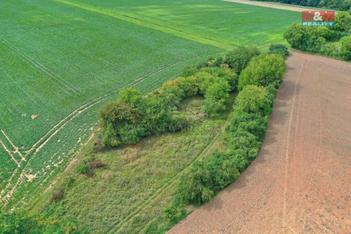 Prodej lesa, Velké Všelisy, 1302 m2