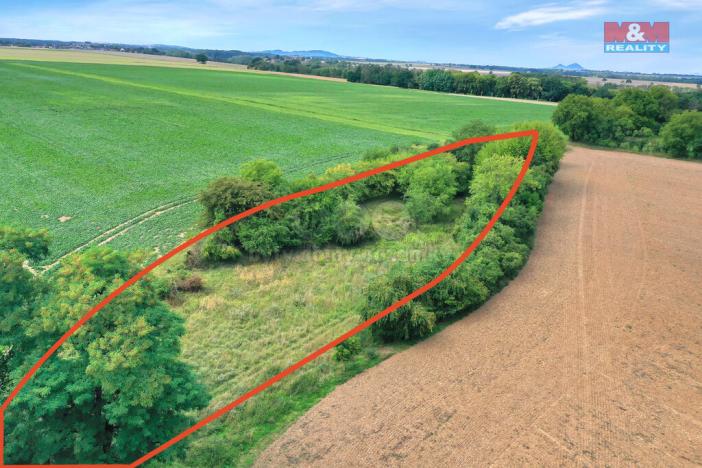 Prodej lesa, Velké Všelisy, 1302 m2