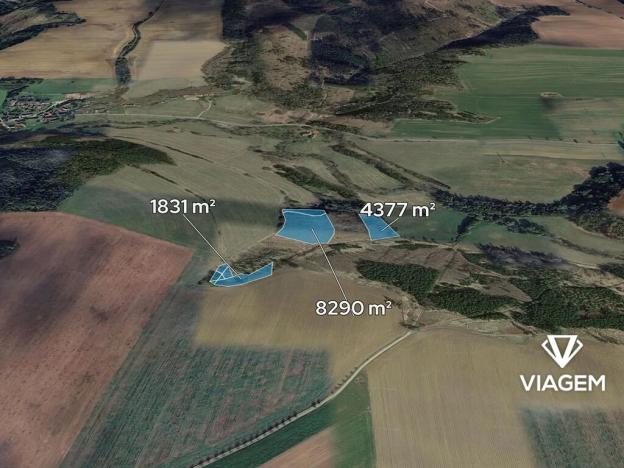 Prodej podílu lesa, Radošovice, 2084 m2