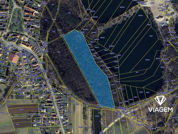 Prodej podílu lesa, Poděbrady, 2045 m2