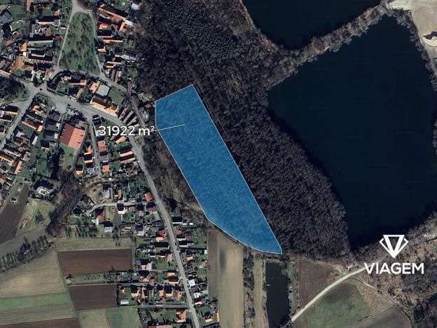 Prodej podílu lesa, Poděbrady, 1995 m2