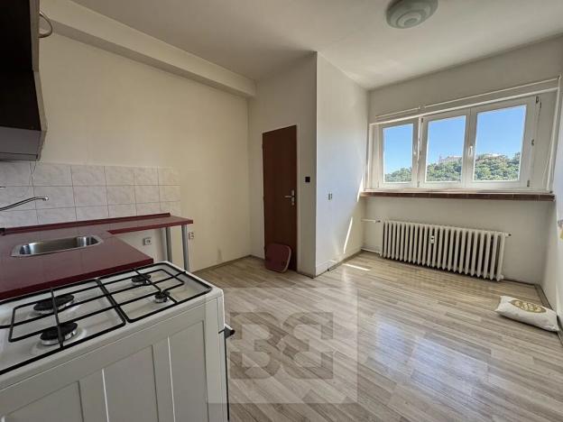 Pronájem bytu 1+1, Brno, Gorkého, 43 m2
