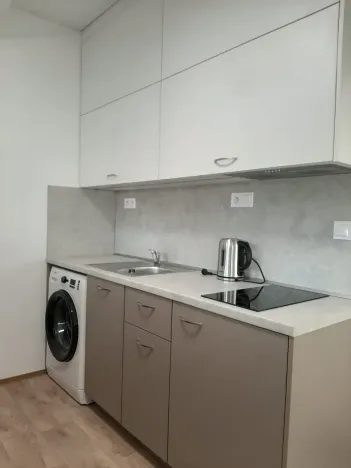Pronájem bytu 1+kk, Brno, Koliště, 27 m2