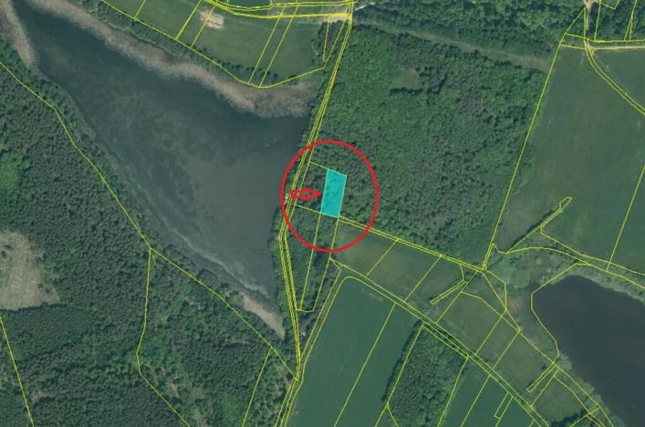 Prodej lesa, Dříteň, 4375 m2