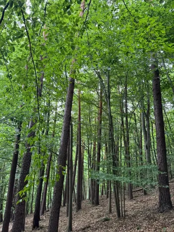 Prodej pozemku, Bohutín, 50672 m2