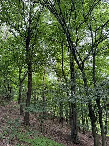 Prodej pozemku, Bohutín, 50672 m2