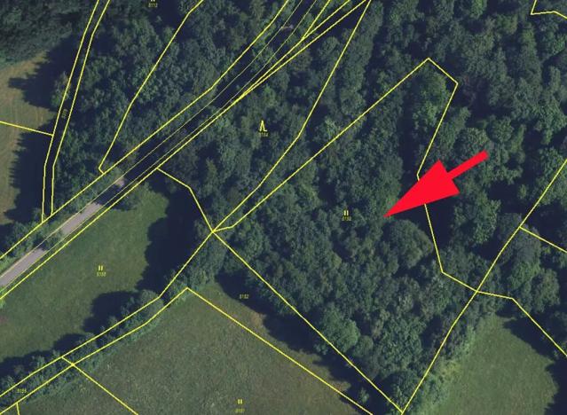 Prodej lesa, Cotkytle, 7064 m2