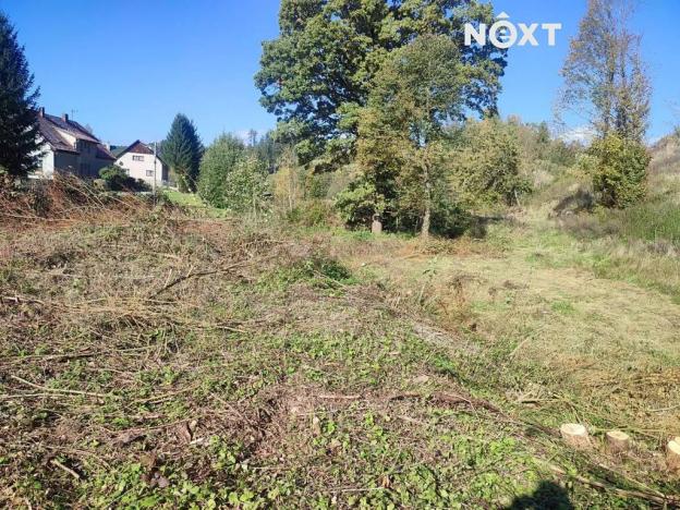 Prodej pozemku, Staré Buky, 2666 m2