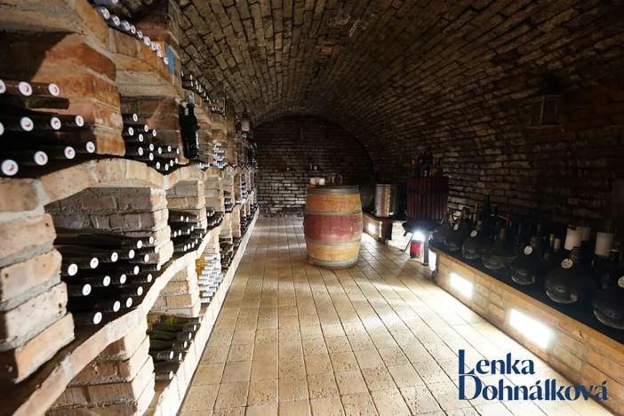 Prodej vinného sklepa, Mutěnice, 210 m2