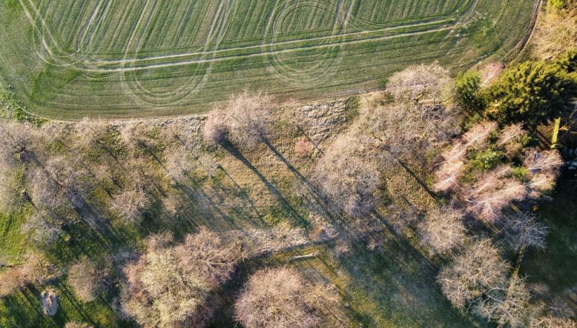 Prodej pozemku, Chocnějovice - Buda, 2533 m2