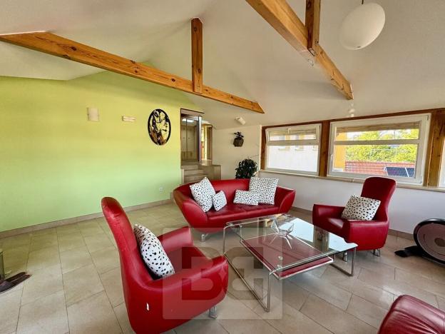 Pronájem bytu 4+kk, Velké Opatovice, Sokolská, 195 m2