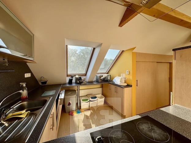 Pronájem bytu 4+kk, Velké Opatovice, Sokolská, 195 m2