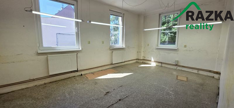 Pronájem výrobních prostor, Planá, 249 m2