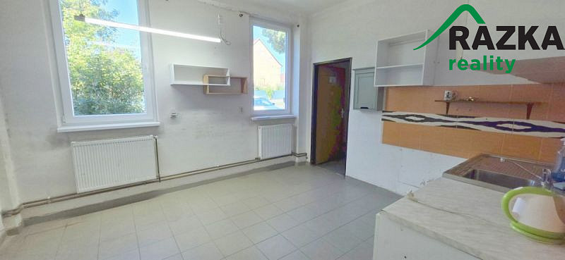 Pronájem výrobních prostor, Planá, 249 m2