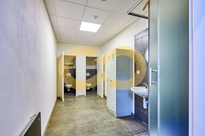 Pronájem skladu, Tábor, 1300 m2