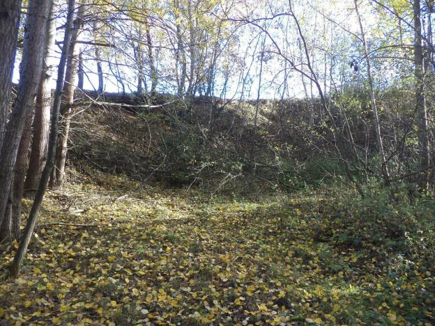 Prodej pozemku, Římov - Dolní Stropnice, 2102 m2