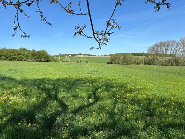 Prodej pozemku pro bydlení, Břasy, 6448 m2