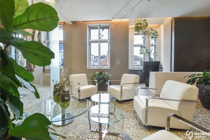 Pronájem kanceláře, Olomouc, tř. Svobody, 420 m2