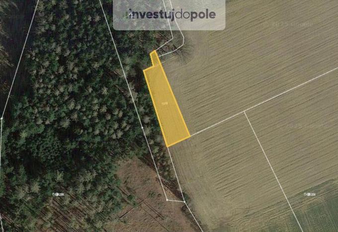 Prodej pole, Pravonín - Karhule, 549 m2