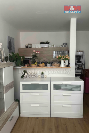 Pronájem bytu 1+kk, Plzeň, Krašovská, 30 m2