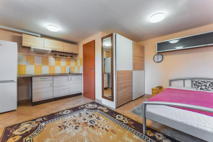 Prodej ubytování, Praha, 520 m2