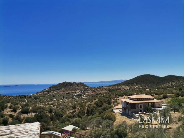 Prodej činžovního domu, Salamina, Salamina, Řecko, 500 m2