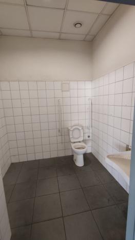 Pronájem výrobních prostor, Strakonice - Strakonice II, Tovární, 4035 m2