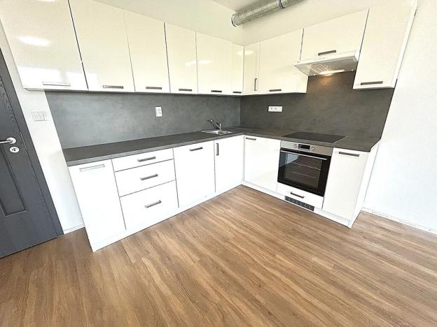 Pronájem bytu 1+kk, Plzeň, Františka Kováříka, 47 m2