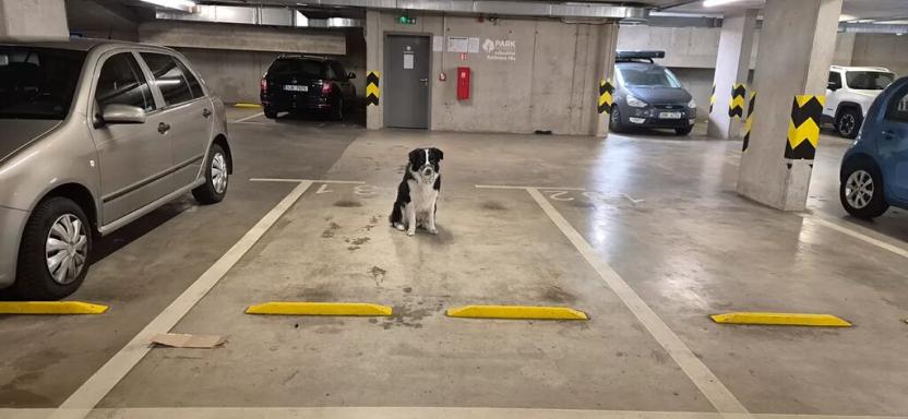 Pronájem garážového stání, Brno, Košinova, 13 m2