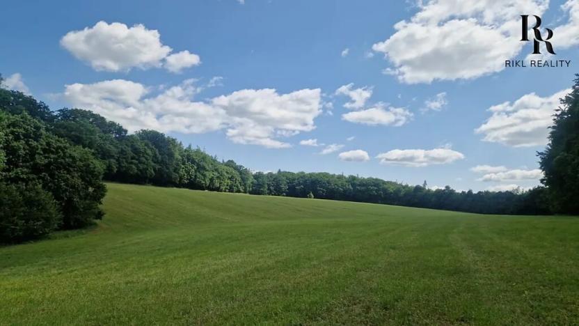 Prodej lesa, Bílá Lhota, 2912 m2