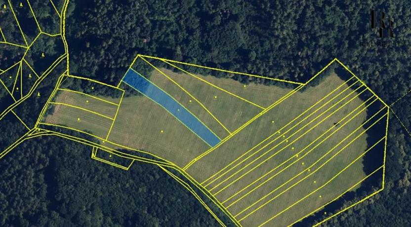 Prodej lesa, Bílá Lhota, 2912 m2