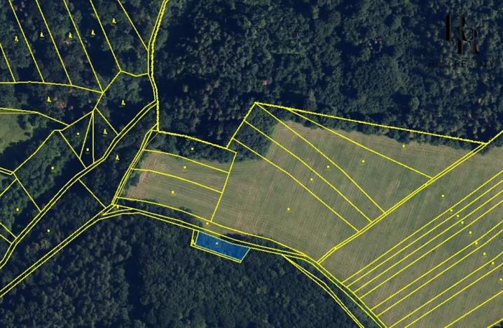 Prodej lesa, Bílá Lhota, 694 m2